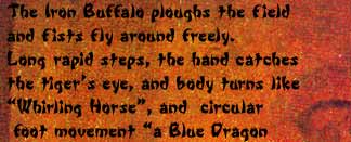 The Iron Buffalo ploughs the field and fists fly around freely. Long rapid steps, the hand catches the tiger's eye, and body turns like "Whirling Horse", and  circular foot movement "a Blue Dragon